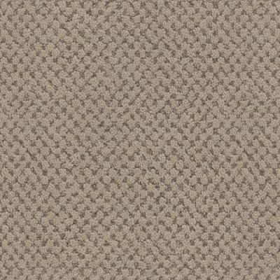 Masland La Parade Cafe Roast 9716-828