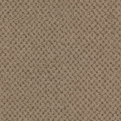 Masland La Parade Chocolat 9716-825