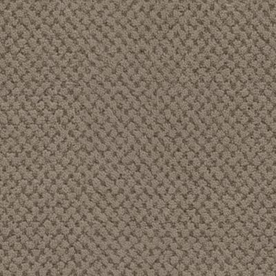 Masland La Parade Walnut 9716-829