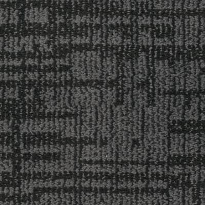 Masland Lineage Dalmatians 9703-999