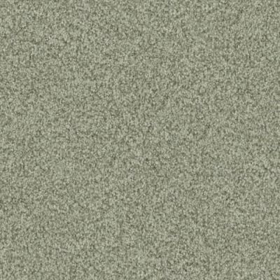 Masland Santa Rosa Organic 9713-656