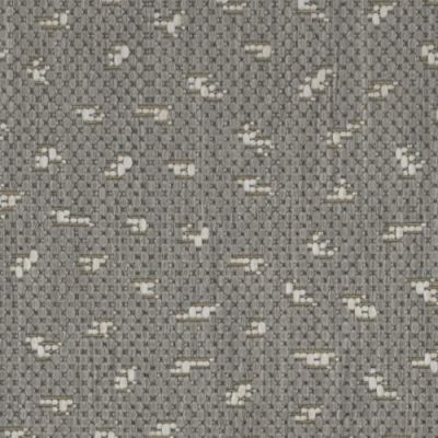 Masland St. Vincent Silver 9144-929