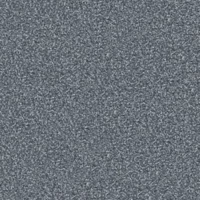 Masland Tracker Astro 9692-595