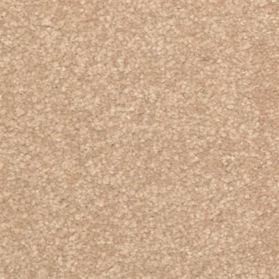 Dixie Home Inspiring Inland 2302-27334