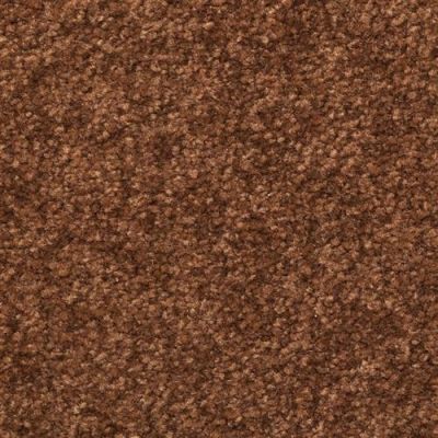 Dixie Home Inspiring Inland 2302-77304