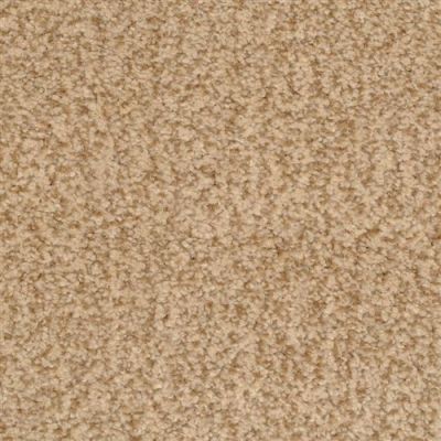 Dixie Home Innovations Hot Toddy 2352-76315