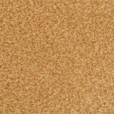 Dixie Home Innovations Hot Toddy 2352-96903