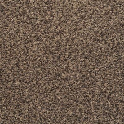 Dixie Home Chromatic Touch Champagne 2368-89824