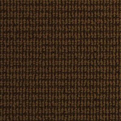 Dixie Home Nature’s Field Jungle Canopy 2961-56104