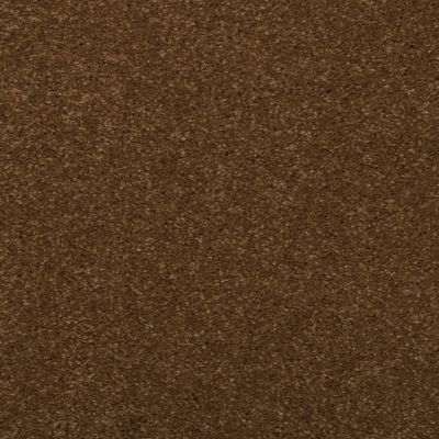 Dixie Home Toulon Textured Spice Trader DH-531437500