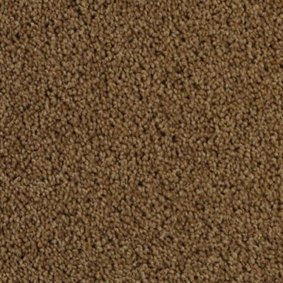Dixie Home Delight Enduring 5453-25200
