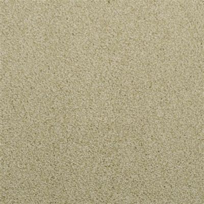 Dixie Home Morning Mist New Oyster 5563-56141