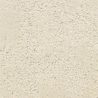 Dixie Home Attributes Powder 6064-82244