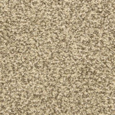 Dixie Home Color Festival Gray Scale 6866-80725