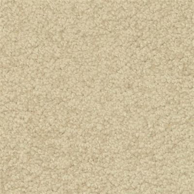 Dixie Home Magic Moment Masala 6946-20184