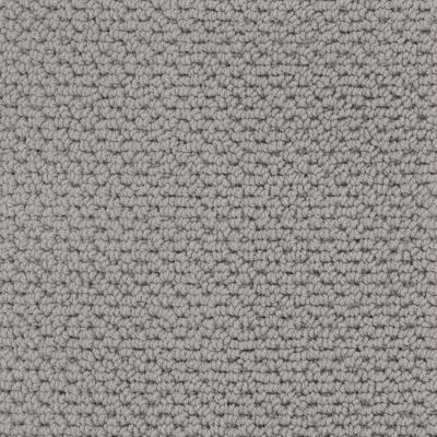 Masland Beachfront Dolphin Grey 9704-949