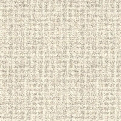 Masland Inspiration Light Grey 9183-729