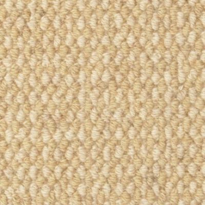 Masland Bedford Tweed Yorkshire Tan 9259-234