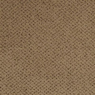 Masland Montauk Timber 9479-675