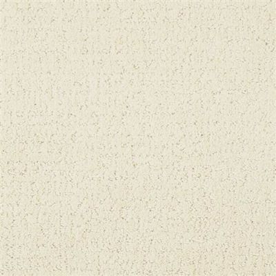Masland Matisse Tracery 9493-017