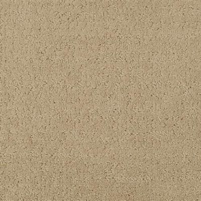 Masland Matisse Briar Bush 9493-556