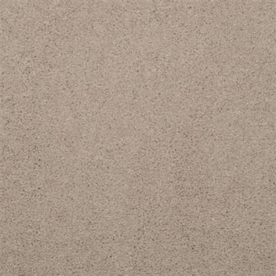 Masland Embrace Chino 9501-223