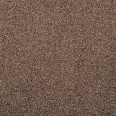 Masland Embrace Chicago Taupe 9501-326