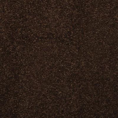 Masland Embrace Cola 9501-718