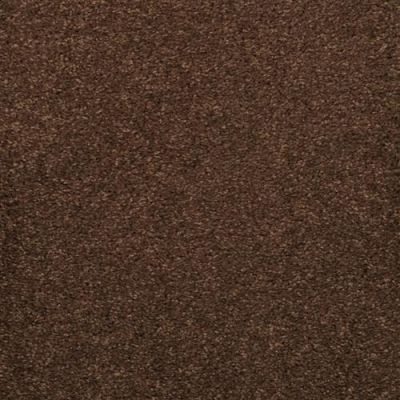 Masland Embrace Bison 9501-734