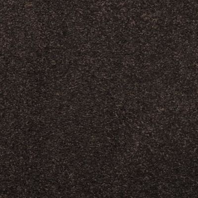 Masland Embrace Black Olive 9501-735