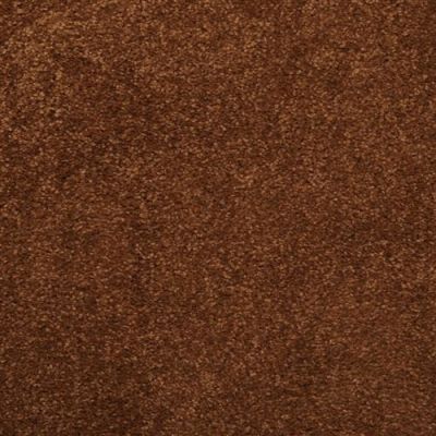 Masland Embrace Bracken 9501-916