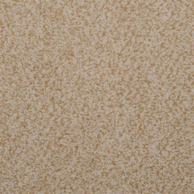Masland Granique Sand Stone 9514-124