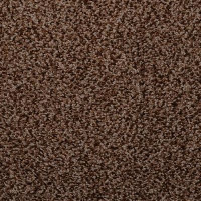 Masland Granique Tiger Eye 9514-777