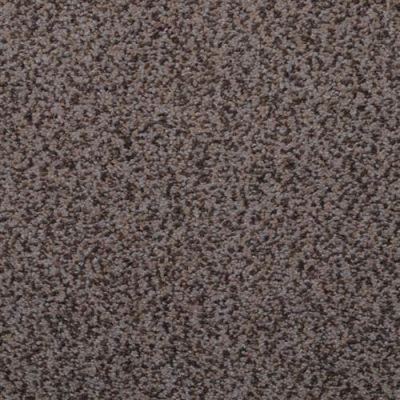 Masland Granique Titanium 9514-828