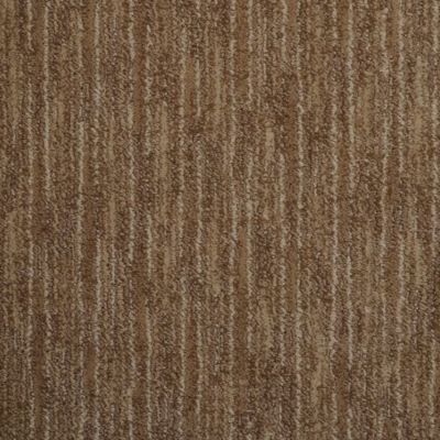 Masland Artistic Vision Canyon Wall 9516-282
