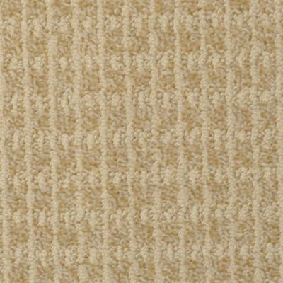 Masland Hudson Valley Winter Grass 9520