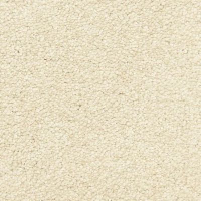 Masland Morgan Bay Sandstone 9550-289