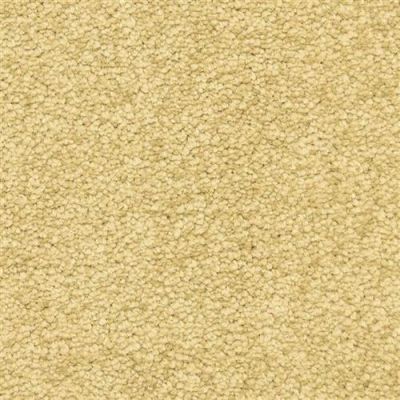 Masland Morgan Bay Bronze 9550-468