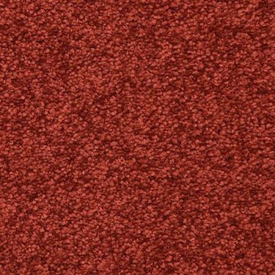 Masland Vero Beach Cherry 9551-980