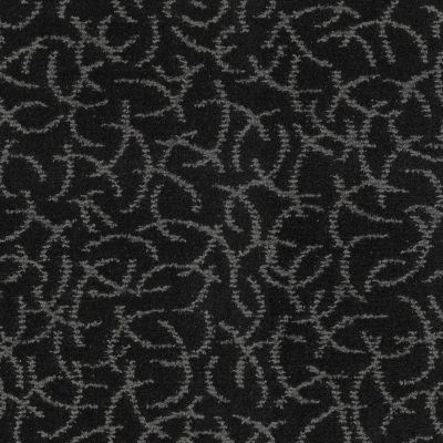 Masland Altair Black Hole 9563-797
