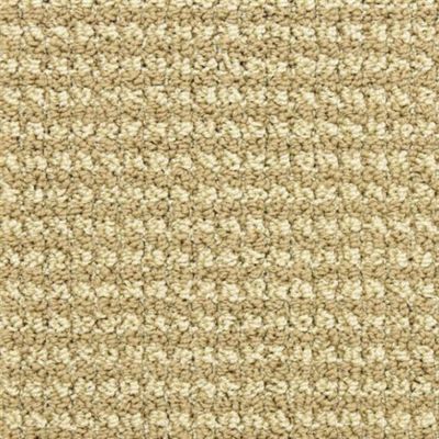 Masland Tango Chasse 9569-544
