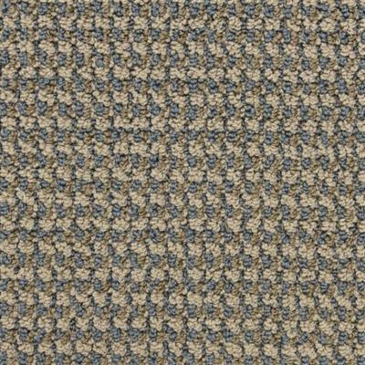 Masland Tango Pirouette 9569-696