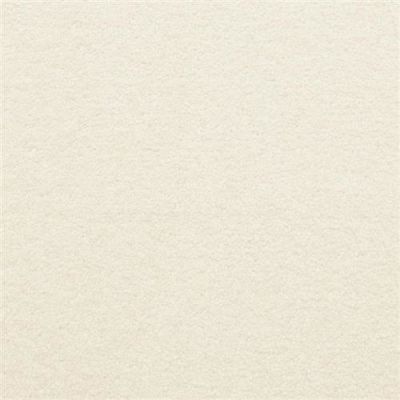 Masland Patriot Cloud Nine 9588-016