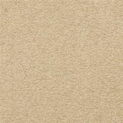 Masland Patriot Secluded 9588-237