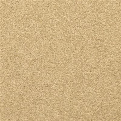 Masland Patriot Remnant 9588-238