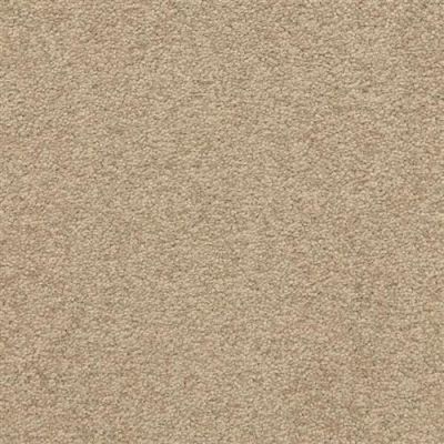 Masland Patriot Basin 9588-350