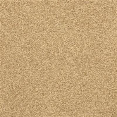 Masland Patriot Ancestral 9588-382