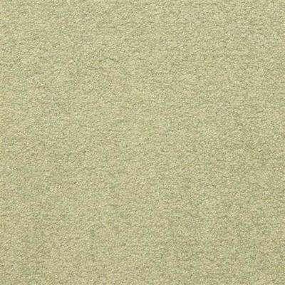 Masland Patriot Tropical 9588-522