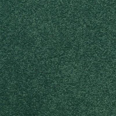 Masland Patriot Visual 9588-548