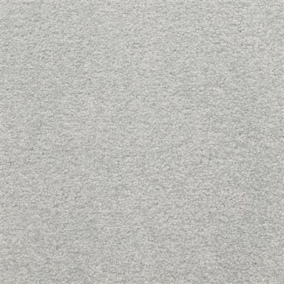 Masland Patriot Wonder 9588-651